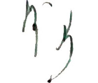 Autographe DIAZ